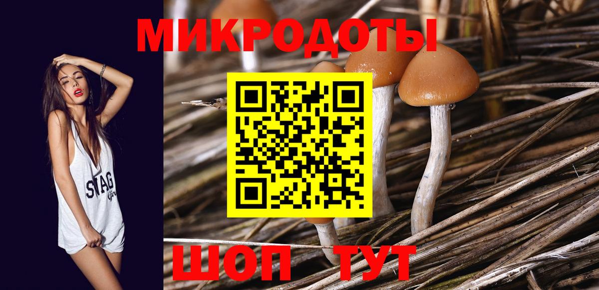 Галлюциногенные грибы MAGIC MUSHROOMS  Вход с VPN  Углич 